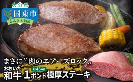 29365A_まさに肉のエアーズロック〃おおいた和牛１ポンド極厚ステーキ / ローストビーフ ステーキ ブロック 牛肉 黒毛和牛 和牛  ステーキ ブロック 肉 ステーキ ブロック