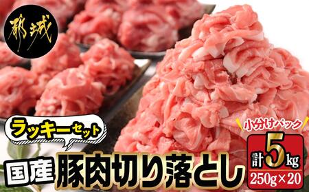 国産豚肉切り落とし5kgラッキーセット_14-3602_(都城市) 国産 豚肉 切り落とし 250g×20袋 5kg 