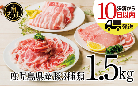 【鹿児島県産】豚3種類 計1.5kgセット 豚肉 ロース バラ スライス 肩ロース しゃぶしゃぶ 生姜焼き お肉 国産 小分け 冷凍 カミチク 南さつま市