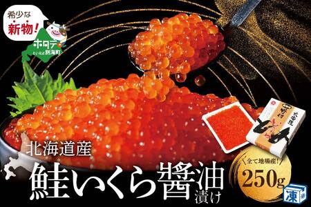  国産大粒 いくら ！！本場「北海道」 いくら醤油漬 250g（ いくら イクラ 鮭卵  鮭いくら 鮭イクラ 醤油漬け 人気いくら 大人気いくら 人気イクラ 大人気イクラ 北海道 野付 別海町 人気 ふるさと納税   ） FN-SupportProject FN-SupportProject FN-Limited FN-Limited