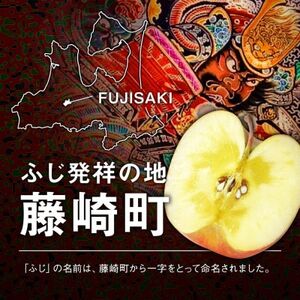 ☆令和6年産先行予約☆【大玉指定】葉とらずサンふじ　特Aご家庭用3kg【配送不可地域：離島・沖縄県】【1344023】