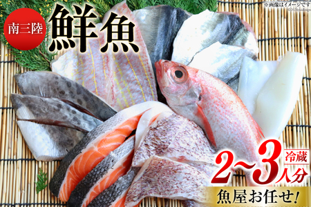 鮮魚 詰め合わせ 魚屋お任せ！南三陸お楽しみ鮮魚 セット 2～3人分 [さかなのみうら 宮城県 南三陸町 30aj0001] 魚 タコ 牡蠣 ほや ホタテ 塩辛 佃煮 切り身