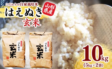 《減農薬栽培》【新米】玄米 10kg 「はえぬき」(5kg×2袋) 2024年産(令和6年産)【2024年10月頃より発送予定】　012-C-JF006-2024