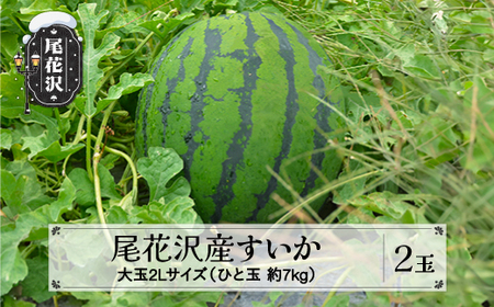 先行予約 尾花沢産すいか 2Lサイズ 約7kg×2玉 8月下旬頃発送 遅出し 令和6年産 2024年産 農産加工 ※沖縄・離島への配送不可 nk-su2xx2