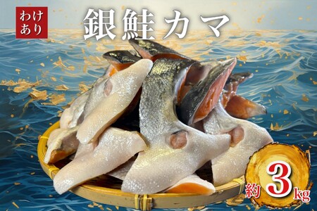 【訳あり】人気海鮮お礼品 銀鮭カマ 約3kg【配送不可地域：離島】【1389618】