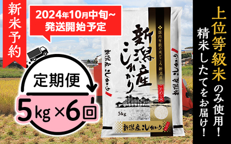 K56【6ヶ月連続お届け】新潟県産コシヒカリ5kg