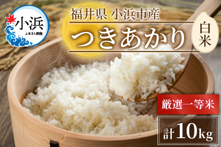 【令和5年産】 福井県産つきあかり 白米10kg 若狭の恵 つきあかり [A-002016]