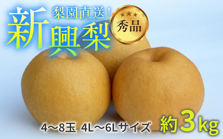 【先行予約】上野梨園の新興梨 約3kg  4L～6L【秀品】《数量限定》梨園直送！  / 期間限定 果物 フルーツ 農家直送 シャキシャキ もぎたて 旬 お取り寄せ ※2024年10月上旬より順次発送