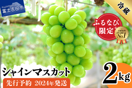 【ふるなび限定】2024年発送・先行予約 山梨県産 シャインマスカット 2kg (3～5房) フルーツ シャインマスカット FN-Limited 高級 2024年 先行予約 山梨 富士吉田