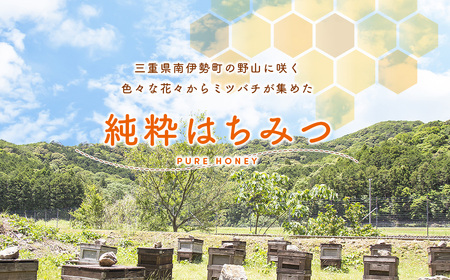 国産 はちみつ 百花蜜 500g×2本入り セット ／ 長谷川養蜂 希少 純ハチミツ 蜂蜜 ハニー 三重県 南伊勢町