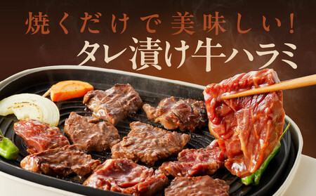 牛ハラミ肉 1.2kg（300g×4P）秘伝の赤タレ漬け 訳あり サイズ不揃い【牛肉 人気 便利 オススメ 冷凍 1kg以上 小分け お弁当 惣菜 焼肉 BBQ 手切り加工 肉厚 人気 高評価 わけあり ワケあり ワケアリ ハラミ はらみ 家計応援 消費応援品 物価高応援品 数量限定】