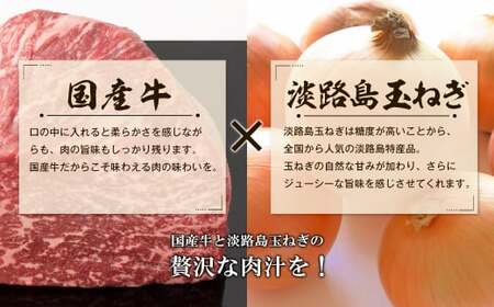 訳アリ 淡路島玉ねぎと国産牛のミニハンバーグ2.0kg　40ｇ×50個　　[訳あり ハンバーグ お弁当 訳あり ハンバーグ お弁当 訳あり ハンバーグ 訳あり ハンバーグ 訳あり ハンバーグ 訳あり ハンバーグ]