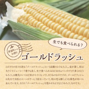 高評価★ 明治 あま～い とうもろこし 十勝産 ゴールドラッシュ の コーンスープ 180g×8個 キャンプ飯 BBQ アウトドア ソロキャン スイートコーン 惣菜 ディナー ランチ 朝食 スープ 美容 送料無料 大容量 北海道 十勝 芽室町me003-008c