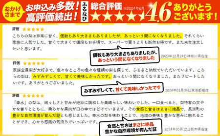 梨 高レビュー くまもと梨 梨 秋 旬 なし 幸水 豊水 先行 果物 くだもの フルーツ ナシ 梨 先行予約 送料無料 あきづき 甘太 新高 新興 約3.5kg 5玉～15玉前後 熊本県産【着日指定不可】《8月下旬‐11月中旬頃より出荷予定》旬 果物 お取り寄せ｜梨梨梨梨梨梨梨梨梨梨梨梨梨梨梨梨梨梨梨梨梨梨梨梨梨梨梨梨梨梨梨梨梨梨梨梨なしなしなしなしなしなしなしなしなしなしなしなしなしなしなしなしなしなしフルーツフルーツフルーツフルーツフルーツフルーツフルーツ