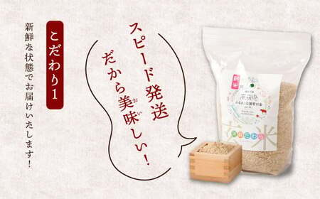 ＜令和6年産＞新米 阿蘇だわら（玄米）10kg（2kg×5）熊本県 高森町 オリジナル米【2024年10月上旬発送開始】 / お米 米 玄米 お米 米 玄米 お米 米 玄米 お米 米 玄米 お米 米 玄米 お米 米 玄米 お米 米 玄米 お米 米 玄米 お米 米 玄米 お米 米 玄米 お米 米 玄米 お米 米 玄米 お米 米 玄米 お米 米 玄米 お米 米 玄米 お米 米 玄米 お米 米 玄米 お米 米 玄米 お米 米 玄米