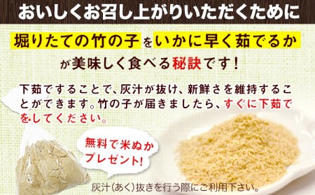 【2025年3月先行予約】熊本県 御船町 掘りたて たけのこ 2kg タケノコ 竹の子 冷蔵 ギフト グルメ 野菜 お祝い 春 筍《2025年3月上旬-4月下旬頃出荷》 有限会社ニシムラ