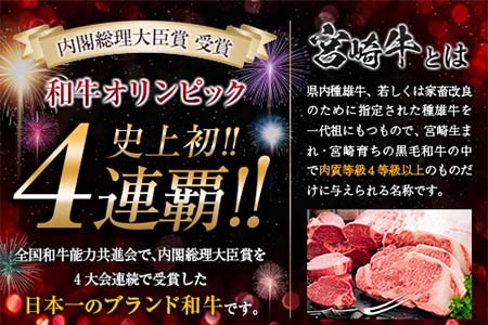 【最短2週間以内で発送】数量限定 期間限定 宮崎牛 肩ウデ スライス 計1kg 肉 牛肉 国産 すき焼き 人気 黒毛和牛 赤身 しゃぶしゃぶ A4 A5 等級 ギフト 贈答 小分け 食品 ミヤチク 宮崎県 送料無料_CA49-23-2W