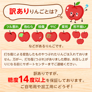 りんご「サンふじ」糖度14度以上保証 約3kg 訳あり 家庭用【配送不可地域：離島】【1106865】