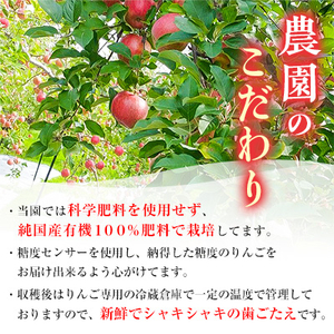 りんご「サンふじ」糖度14度以上保証 約3kg 訳あり 家庭用【配送不可地域：離島】【1106865】