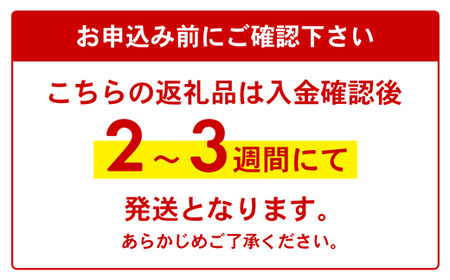 【ふるなび限定】【全国配送可能】ヤクルトの「Y1000」24本セット（6本入り×4パック）／ 乳製品乳酸菌飲料 茨城県 ヤクルト ヤクルト1000 ヤクルトY1000 ヤクルト１０００ ヤクルト乳酸菌飲料 Y1000 FN-Limited