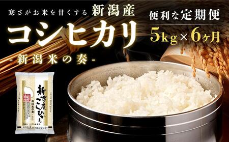 【令和6年新米予約】【定期便】新潟産コシヒカリ5kg×6回 6ヶ月