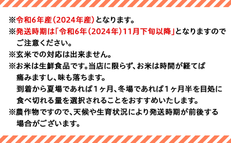 75-6N101新潟県長岡産特別栽培米コシヒカリ10kg（5kg×2）