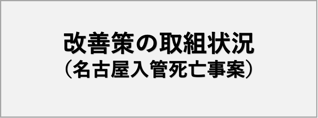 「改善策の取組状況」及び「現行入管法上の問題点」について