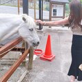 ★神社巡り★