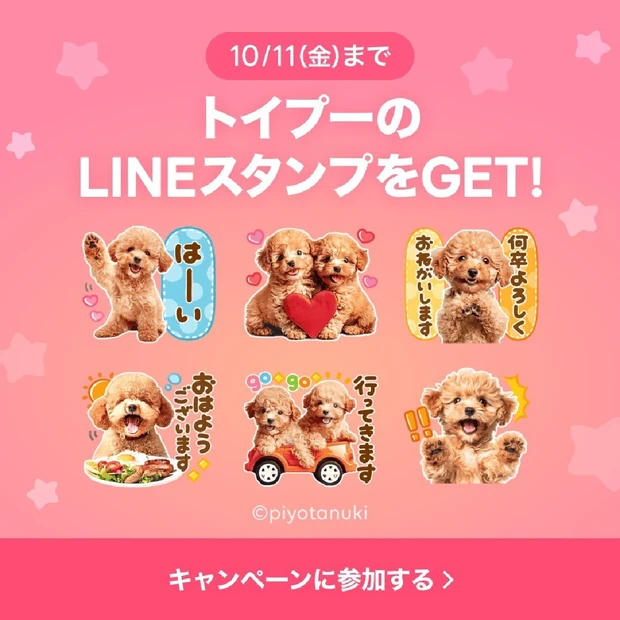 「トイプー×選べるニュース」LINEスタンププレゼント