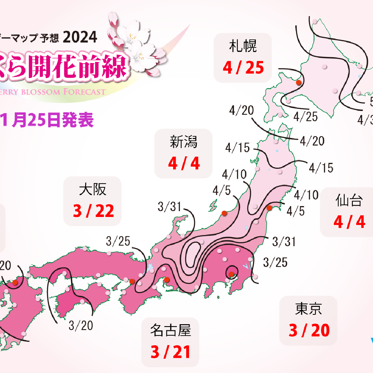 【全国】速報！2024年のお花見はいつがベスト⁉️ウェザーマップ、第６回「さくら開花予想」を発表