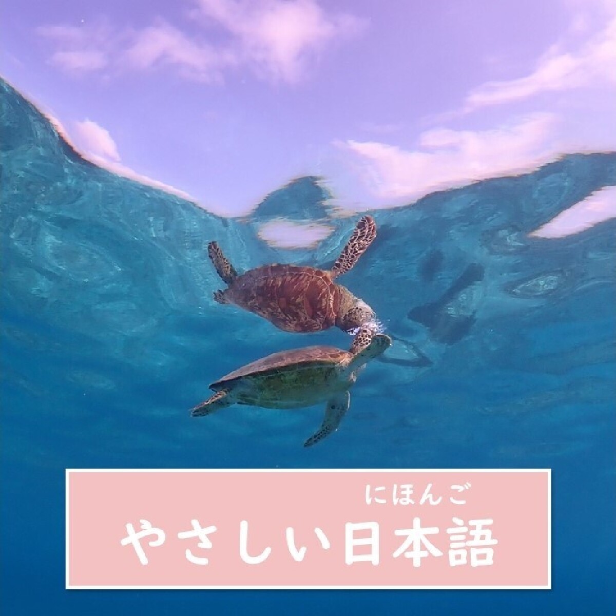 【沖縄・やさしい日本語】宮古島旅行　おすすめの観光スポットを７つ紹介します！ ウミガメと泳ぐことができるかもしれません？！