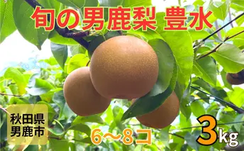 先行予約 男鹿梨 「大将梨園」豊水 約3kg 6～8コ 3～5L 梨 秋田県 男鹿市