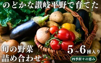 のどかな讃岐平野で育てた 旬の野菜 詰め合わせセット　今が旬 健康 野菜ボックス ヘルシー食材