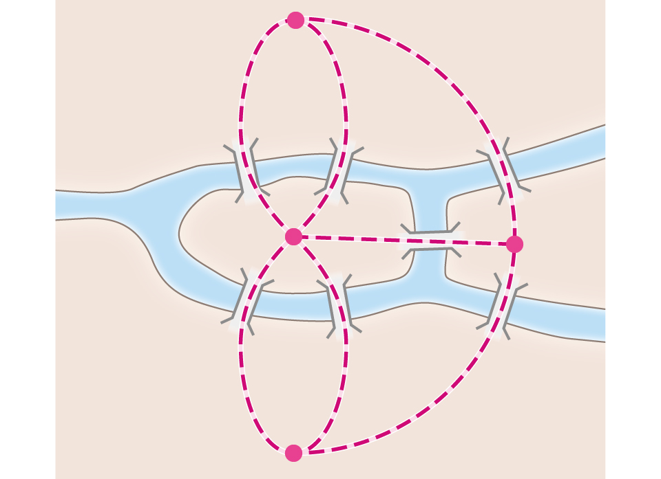 【図】7つの橋を渡るには