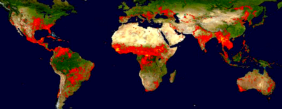 【写真】世界の森林火災発生地図　出典：NASA