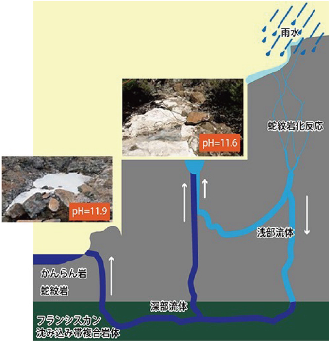 【図】ザ・シダーズ断面概略