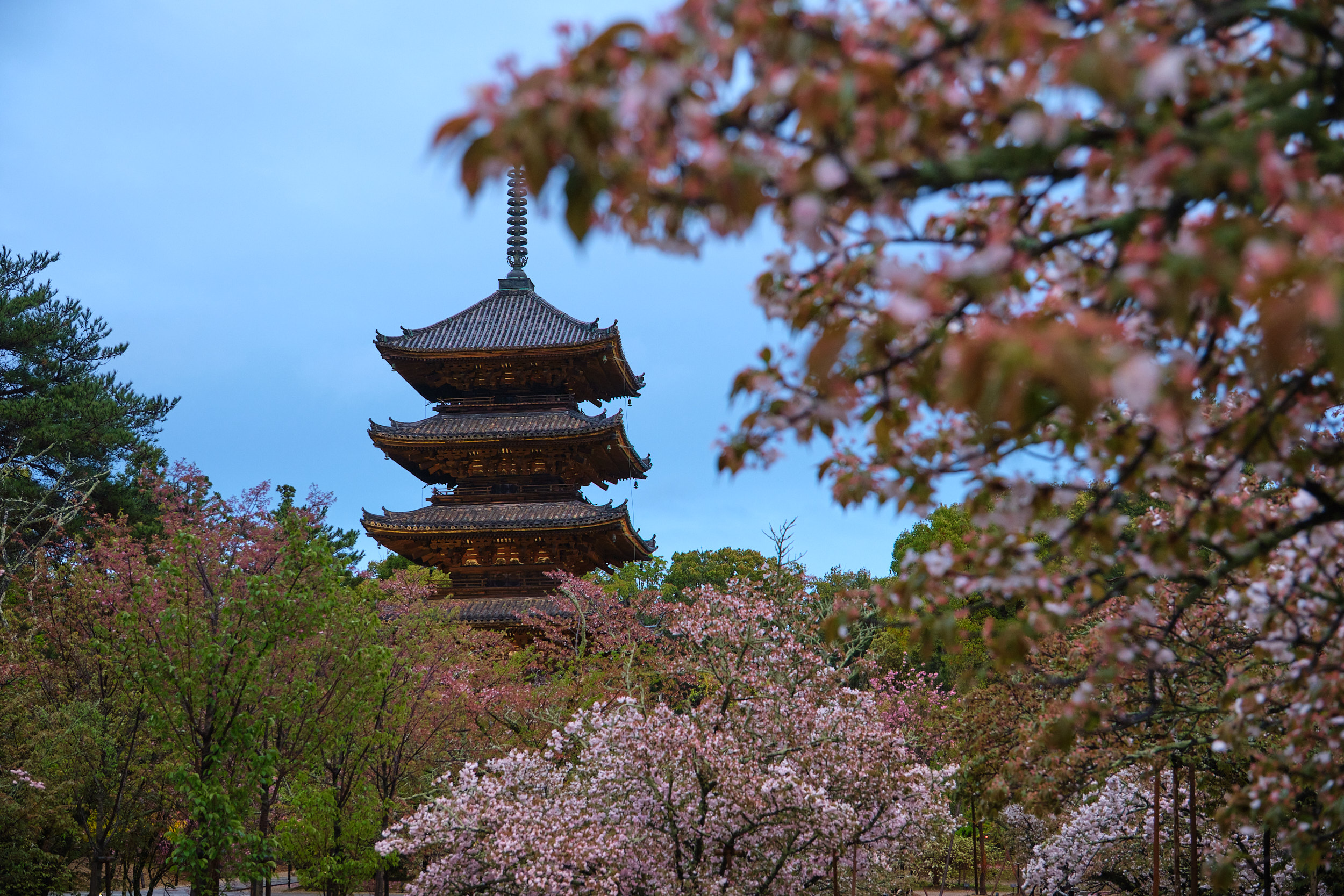 動画も必見！京都・仁和寺「JAXURY茶会」、時空超えの感動体験とは？