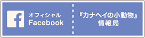 オフィシャル Facebook 『カナヘイの小動物』情報局