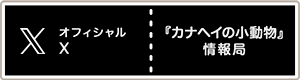 オフィシャル twitter 『カナヘイの小動物』情報局