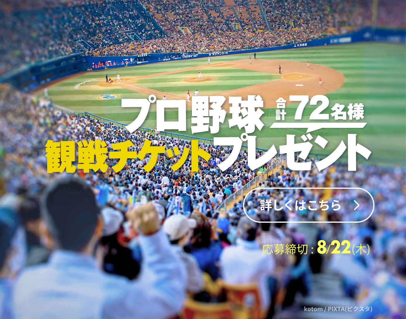 プロ野球観戦チケット