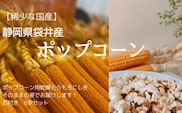 ★静岡県袋井市産★ 体験型ポップコーン（ポップコーン用乾燥とうもろこし）令和5年収穫 おすすめ おやつ  キャンプ BBQ トウモロコシ 厳選 人気 