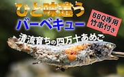 子どもが喜ぶバーベキュー！清流育ちの四万十あめご【BBQ専用竹串付き】 ／Eay-01