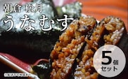 うなぎの蒲焼入り おむすび 「うなむす」5個セット 【配送不可：離島】