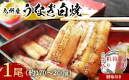 D-15 志おや 九州産 うなぎ 白焼 1本 約170～200g 塩 付