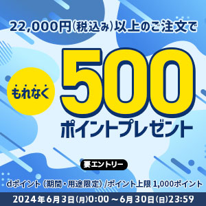 22,000円以上500ポイントプレゼント