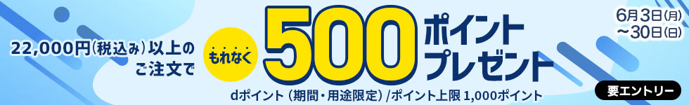 22,000円以上のご注文でもれなく500ポイントプレゼント