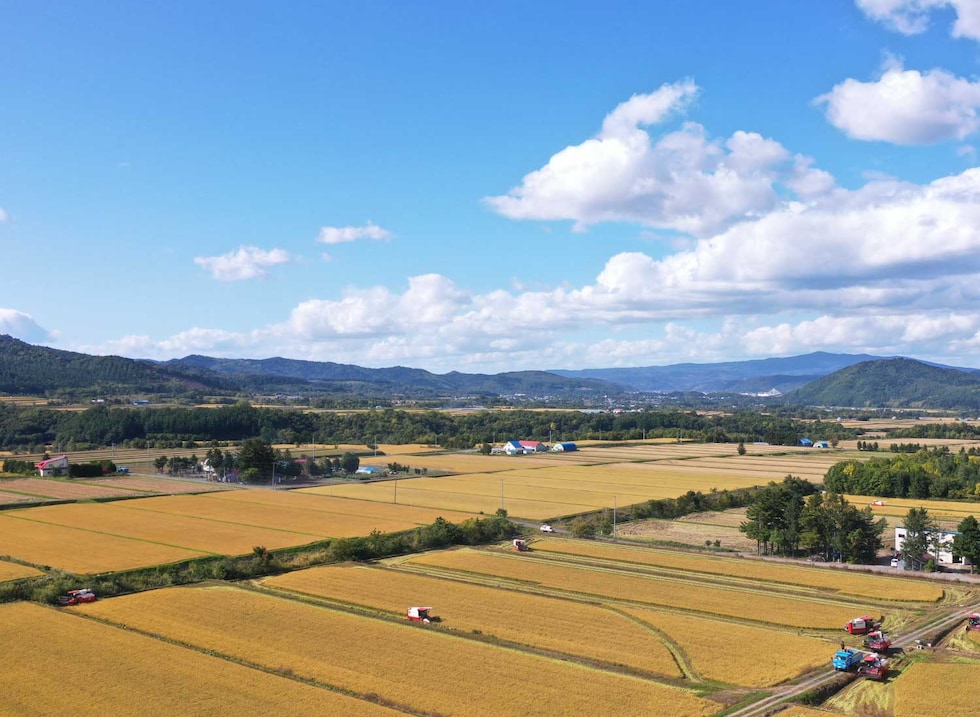 上川・空知地方の収穫風景