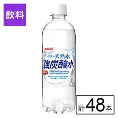 【F】(送料込)伊賀の天然水強炭酸水 500ml×48本《沖縄・離島配送不可》