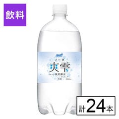 【F】(送料込)1本125円!! SURF 爽雫(ソーダ) 強炭酸水 1000ml×24本《沖縄・離島配送不可》