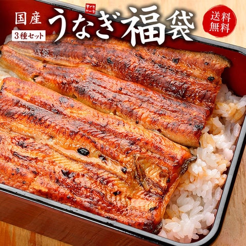 国産 うなぎ福袋 長蒲焼 うなぎ肝串焼き タレ・山椒